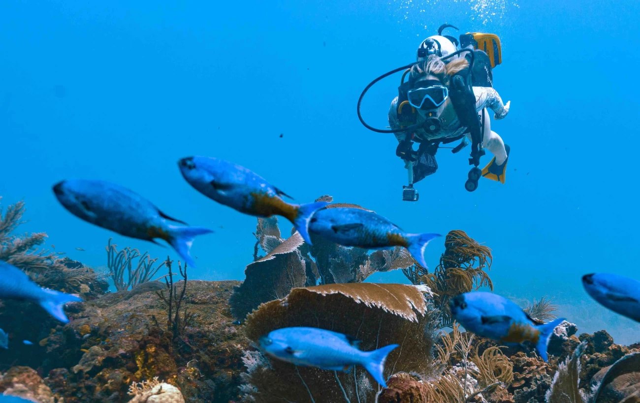 Água azul-turquesa com recife de coral