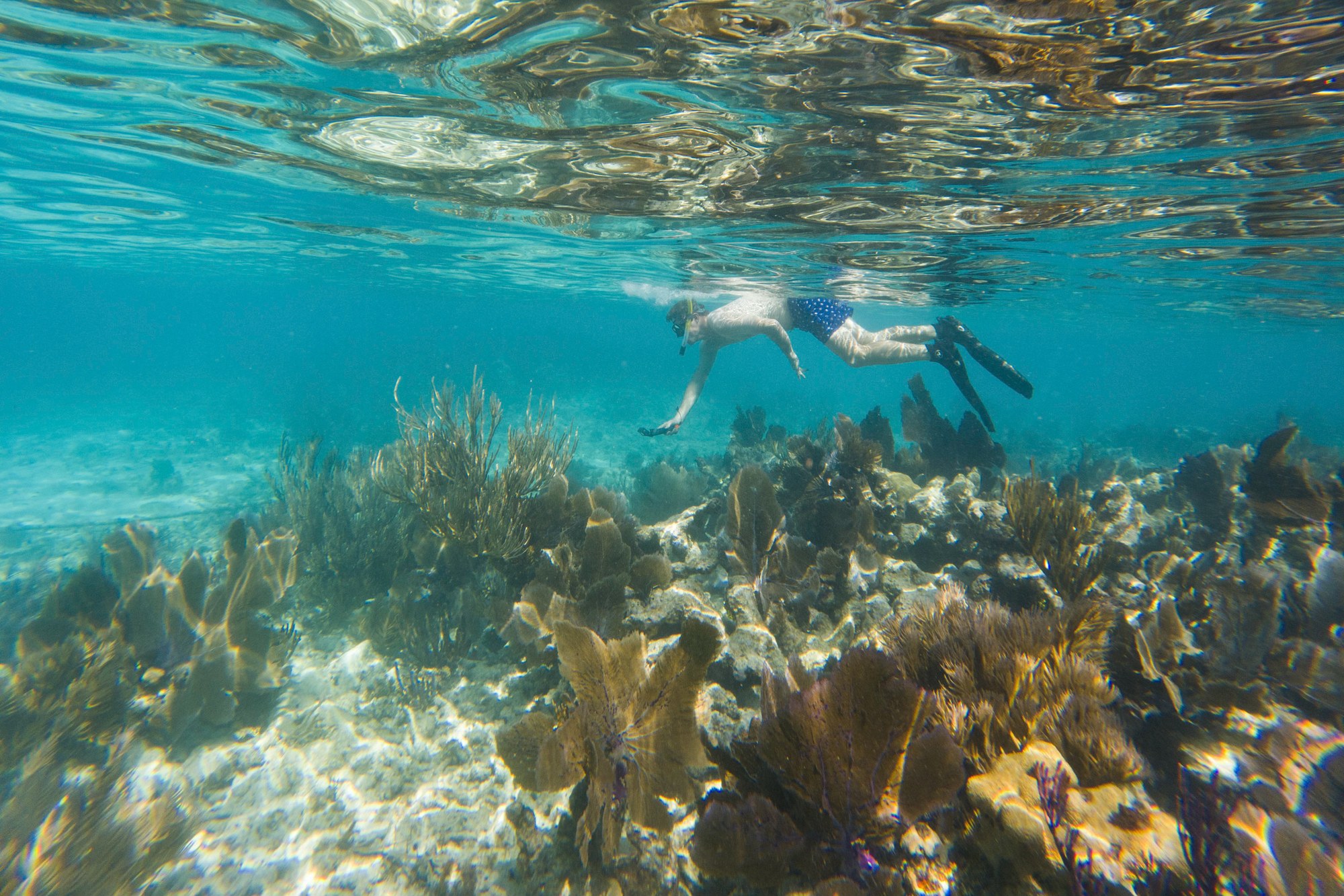 MERGULHO & SNORKEL