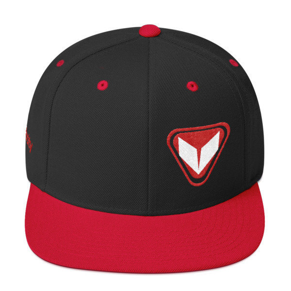VSE Snapback Hat 2