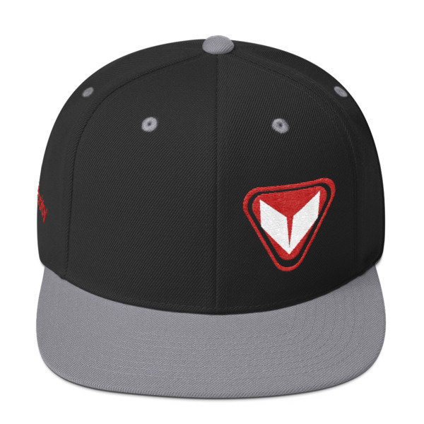 VSE Snapback Hat 5
